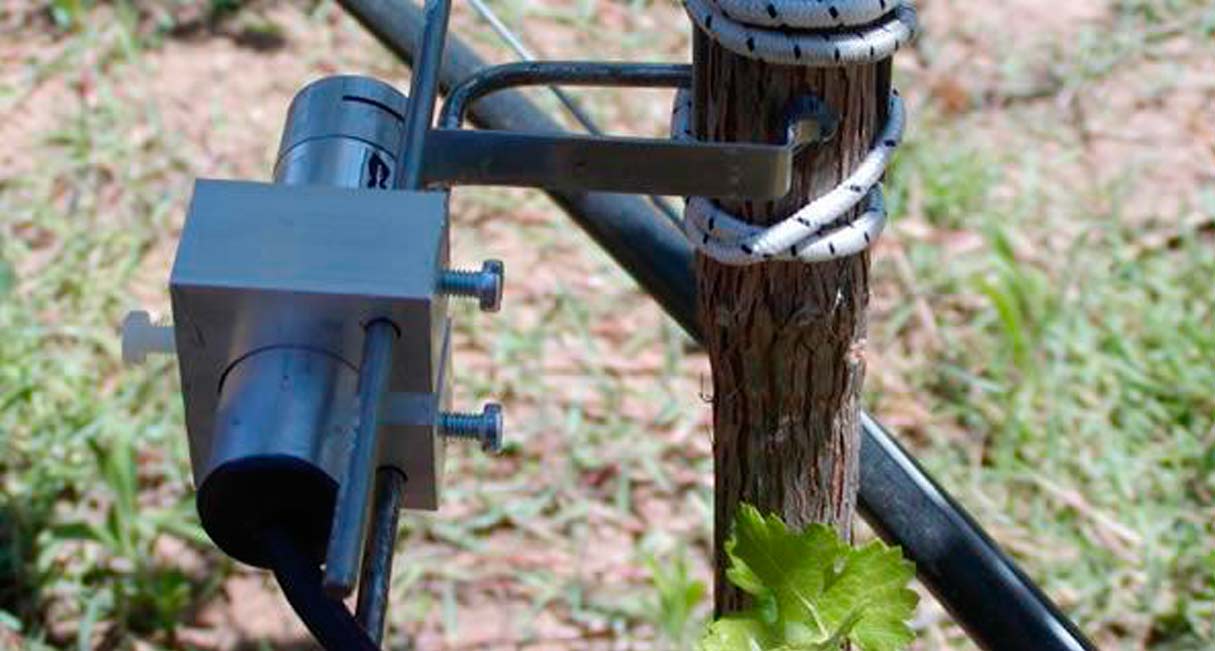 Mejora de la calidad de los vinos de la DOCa Rioja mediante el desarrollo de modelos para la gestión del riego y homogeneización de la uva