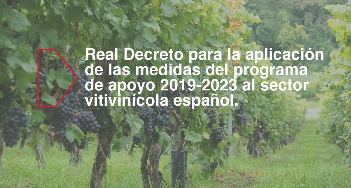 Resultado de imagen de programa de apoyo 2019-2023 al sector vitivinícola español, para el año 2018.
